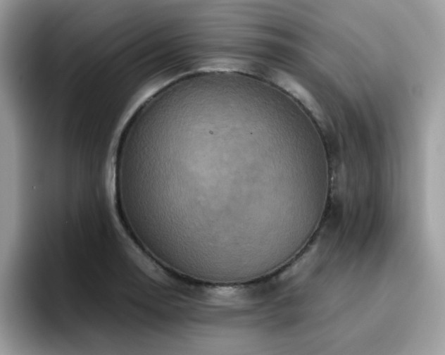 X0000094951130200711291408
