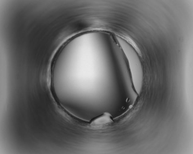 X0000094951132200711291408