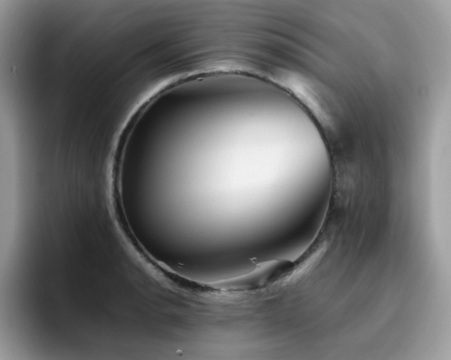 X0000094951134200711291408