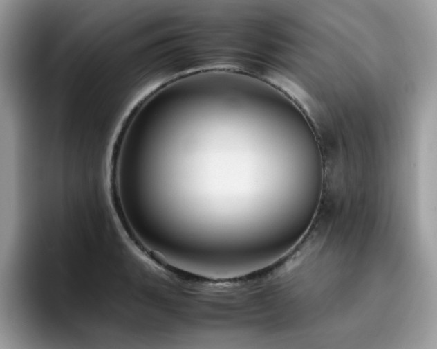 X0000094951135200711291408