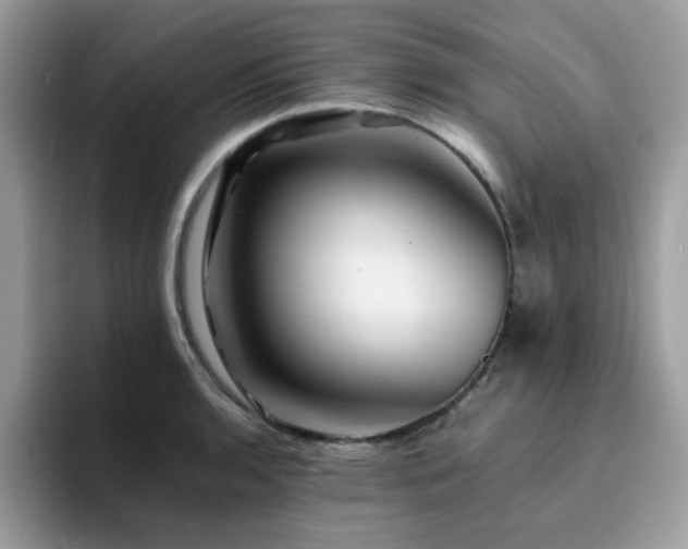X0000094951136200711291408