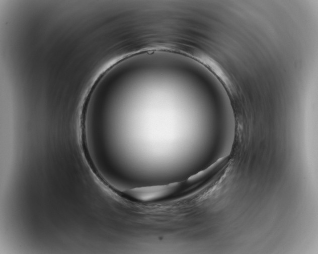 X0000094951143200711291408