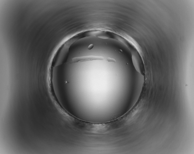 X0000094951144200711291408