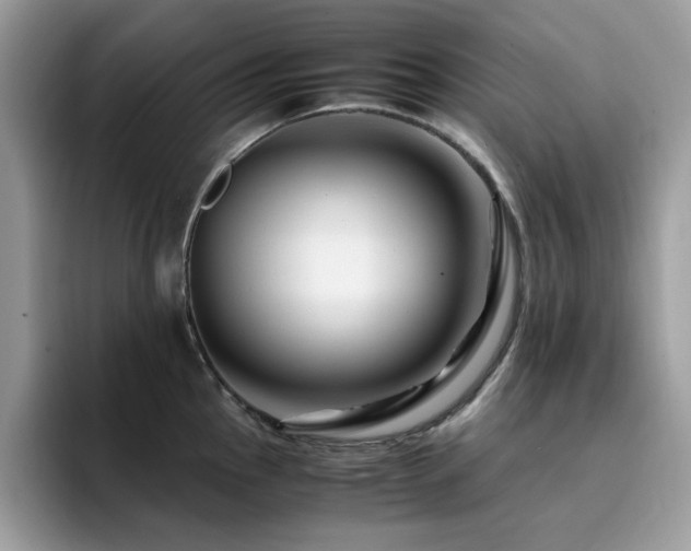 X0000094951145200711291408