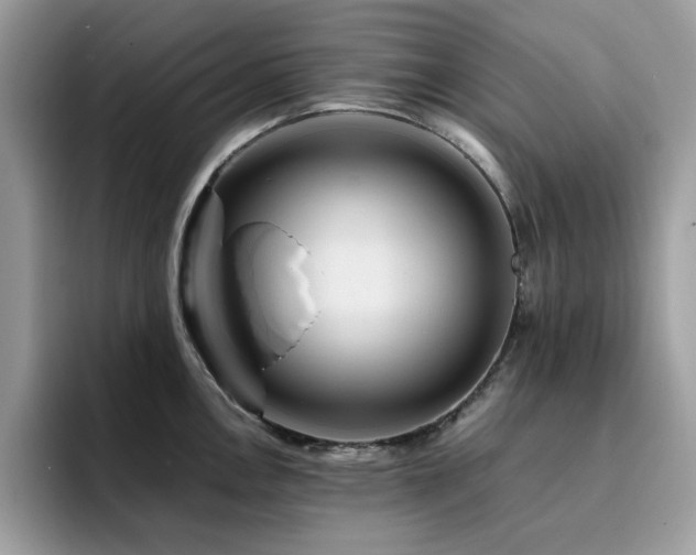 X0000094951146200711291408
