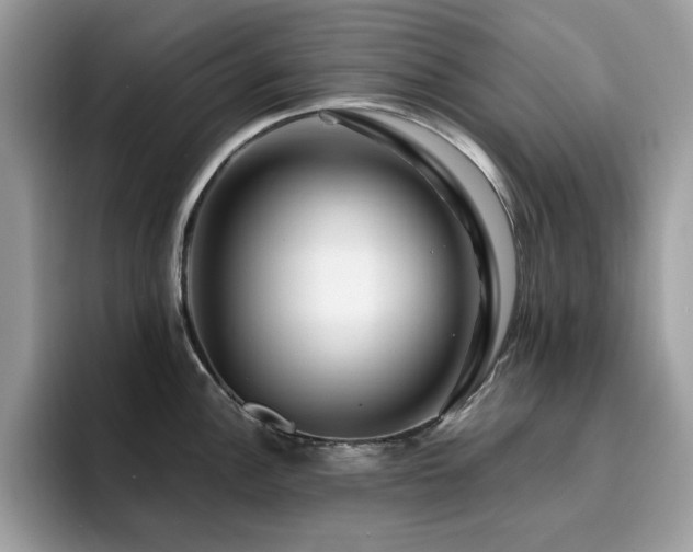 X0000094951148200711291408
