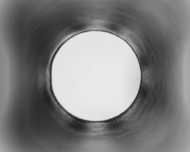 X0000094951150200711291408