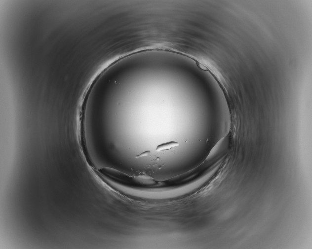 X0000094951151200711291408