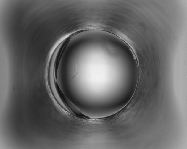 X0000094951152200711291408