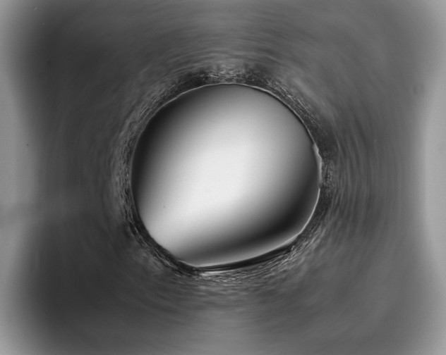 X0000094951153200711291408