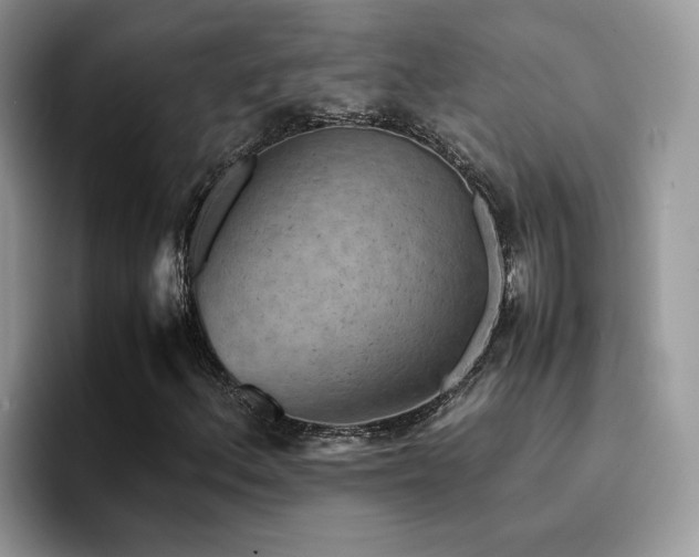 X0000094951156200711291408
