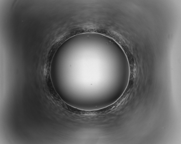 X0000094951157200711291407
