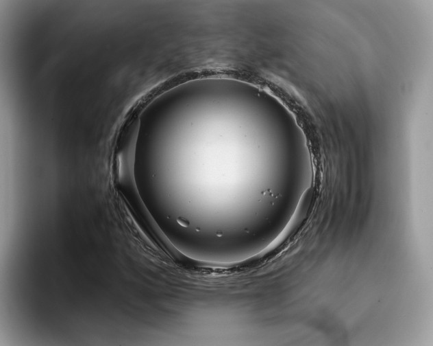X0000094951160200711291407