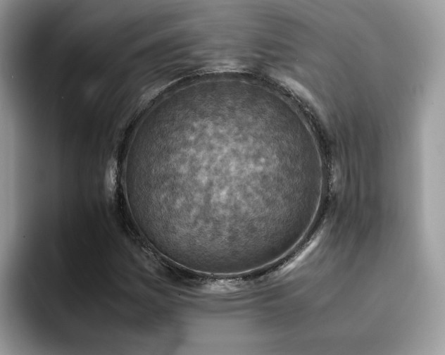 X0000094951161200711291407