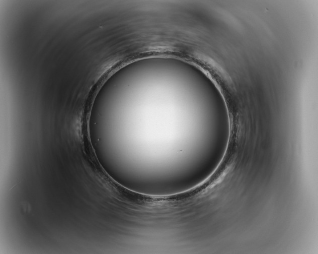 X0000094951162200711291407