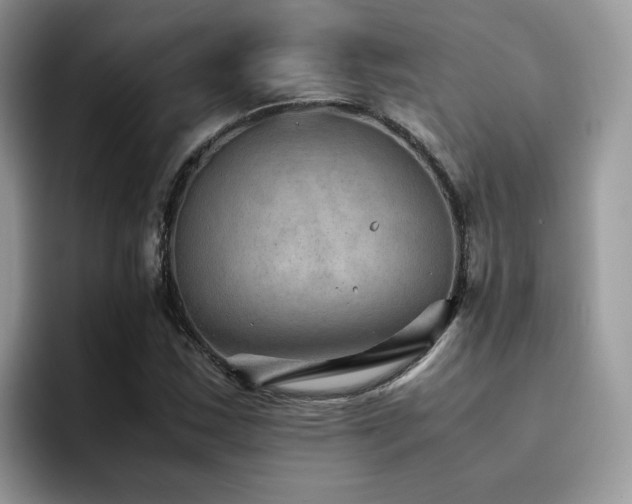 X0000094951163200711291407