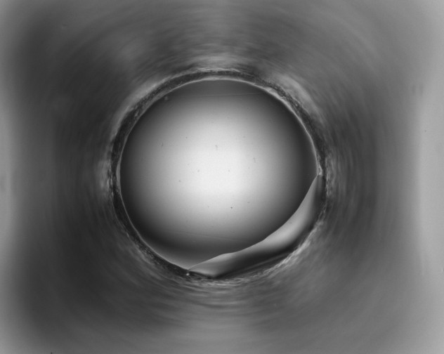 X0000094951164200711291407