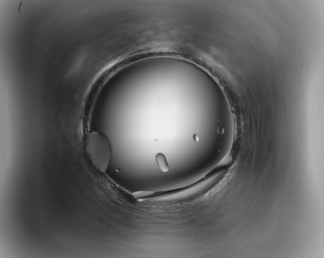 X0000094951166200711291407