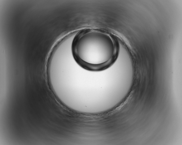 X0000094951168200711291407