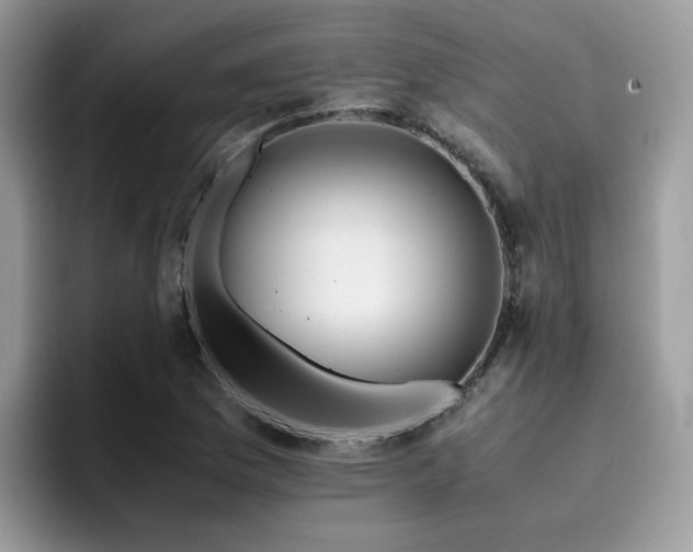 X0000094951169200711291407