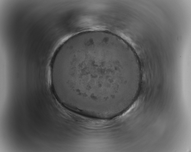 X0000094951171200711291407