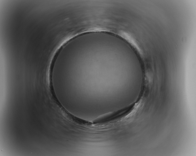 X0000094951173200711291407