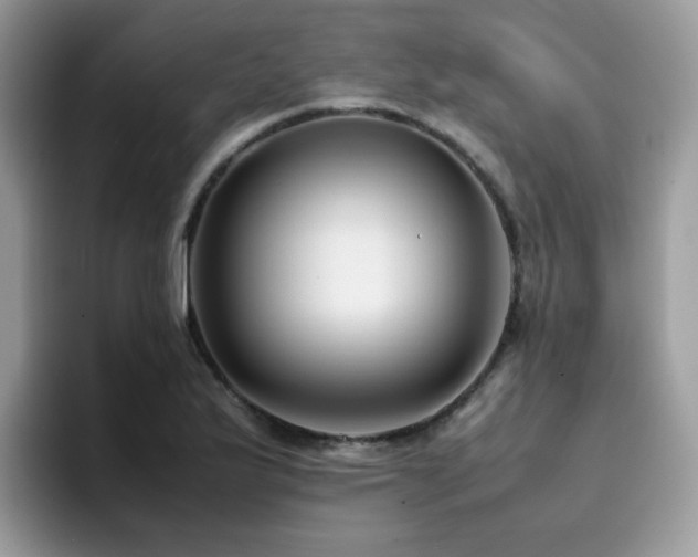 X0000094951175200711291407