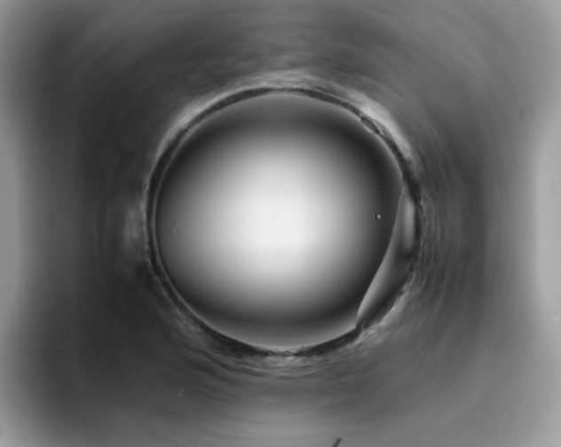 X0000094951176200711291407