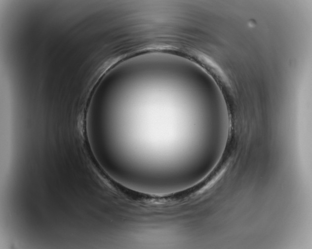 X0000094951177200711291407