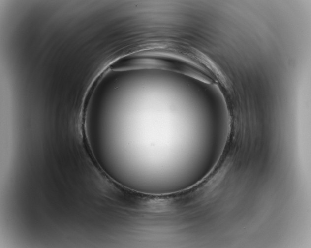 X0000094951178200711291407