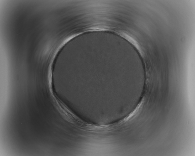 X0000094951179200711291407