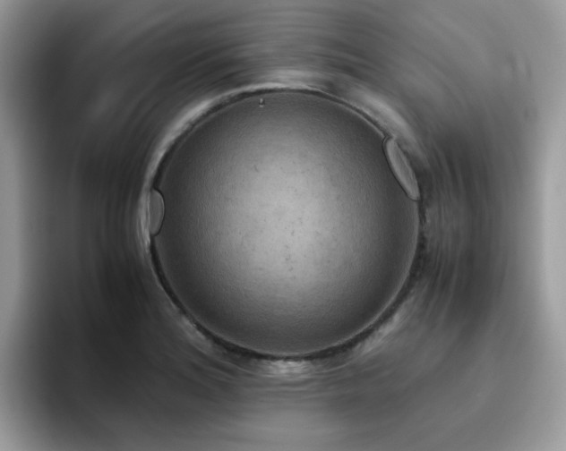 X0000094951180200711291407