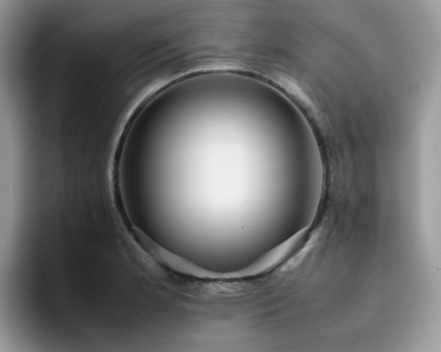 X0000094951181200711291407