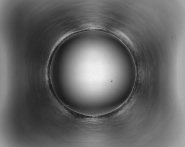 X0000094951182200711291407