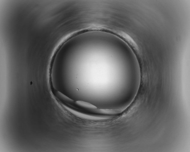 X0000094951183200711291407