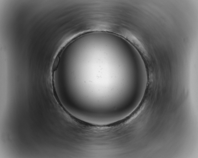 X0000094951184200711291407