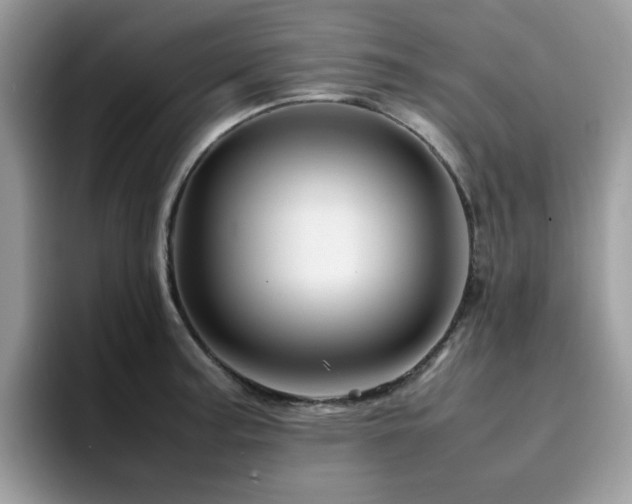 X0000094951187200711291407