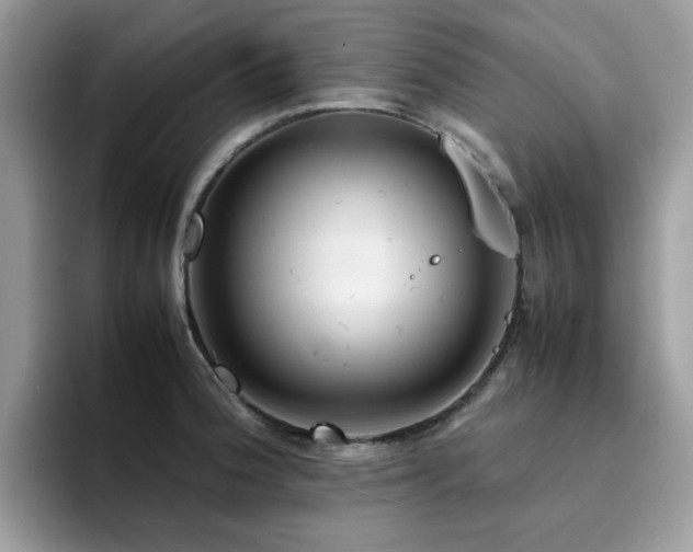 X0000094951188200711291407