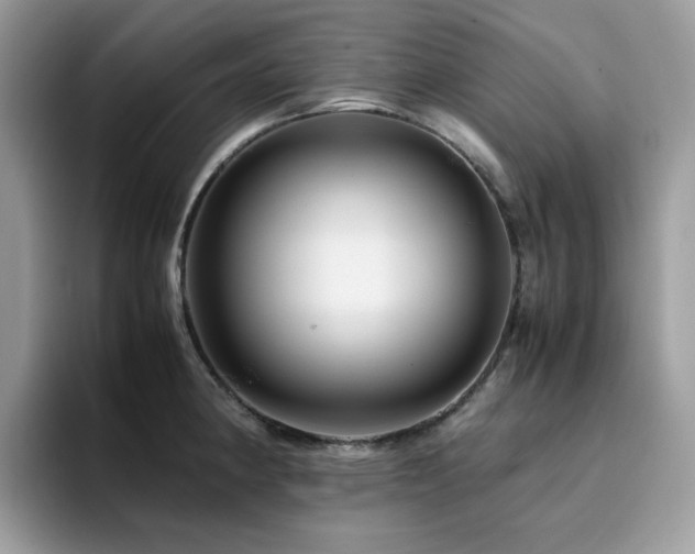 X0000094951190200711291407