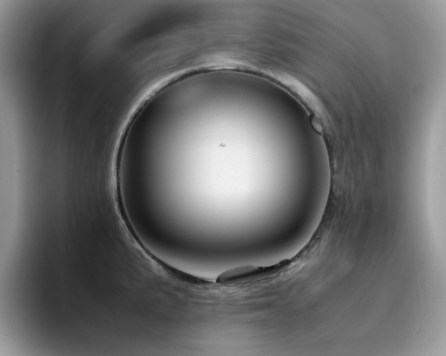 X0000094951191200711291407