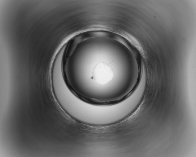 X0000094951192200711291407