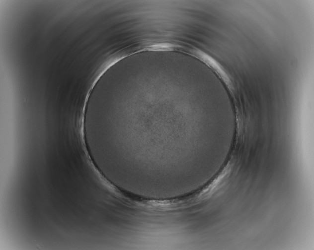 X0000094951194200711291407