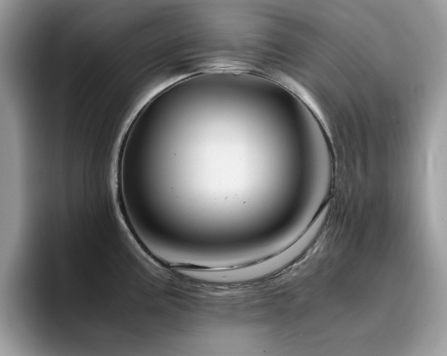 X0000094951195200711291407