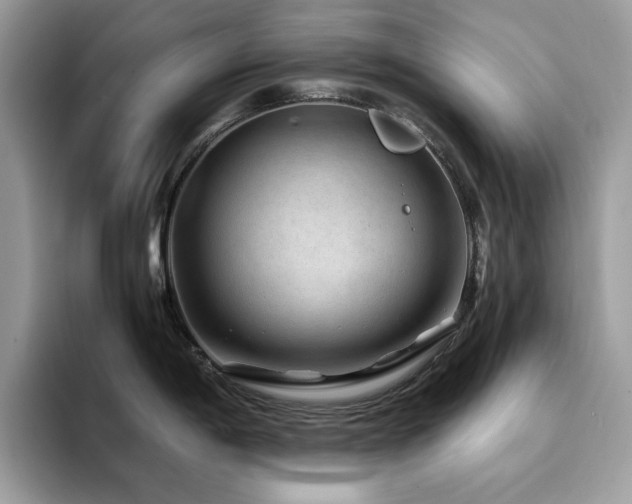 X0000094951198200711291407