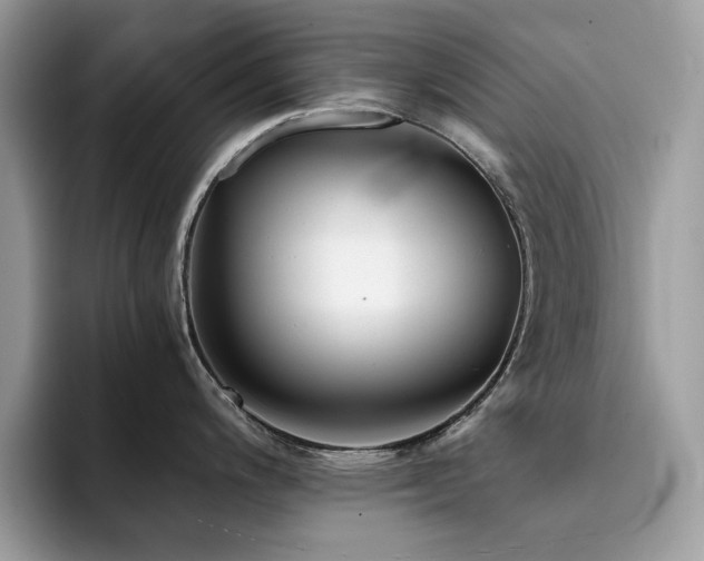 X0000094951200200711291407