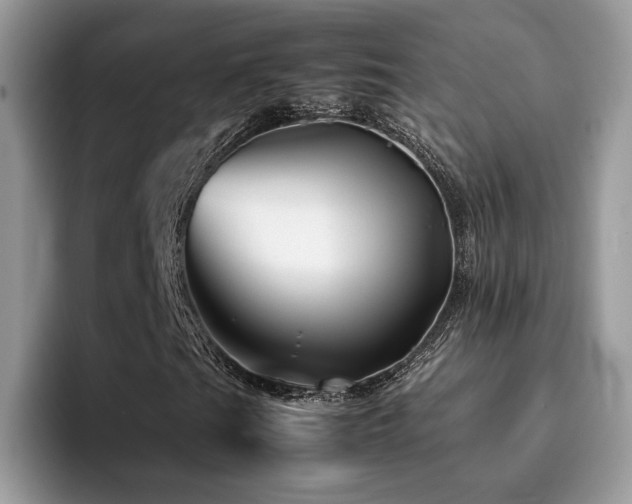 X0000094951201200711291406