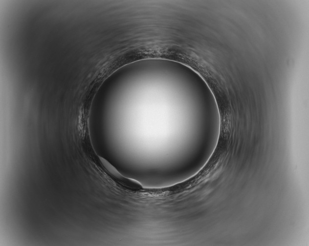 X0000094951202200711291406