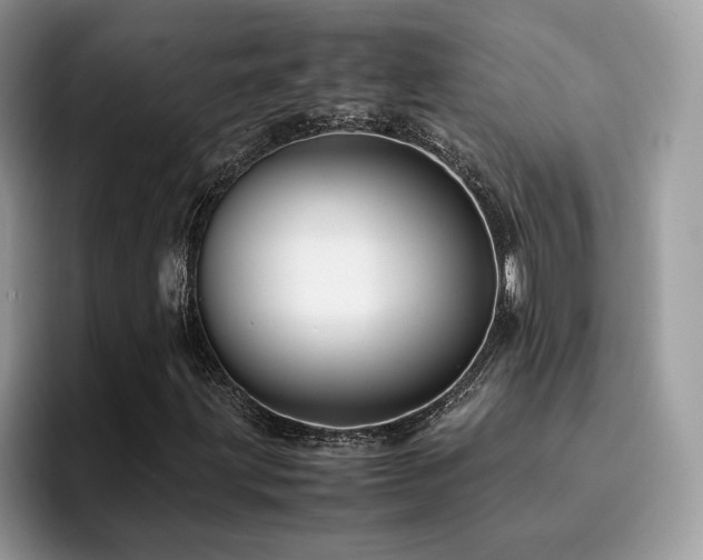 X0000094951203200711291406