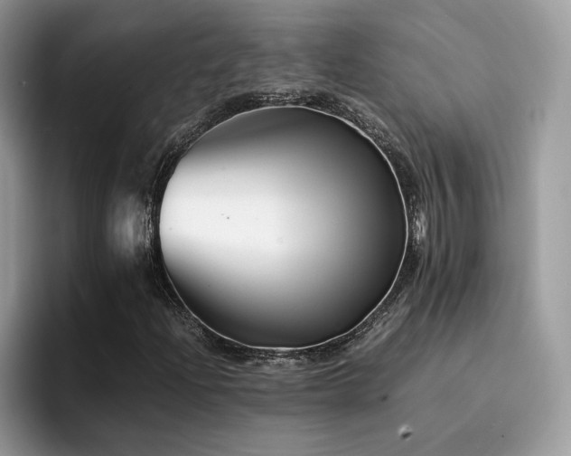 X0000094951204200711291406