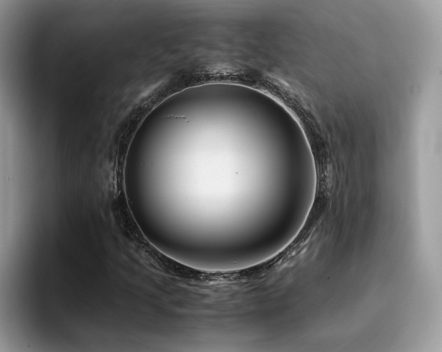 X0000094951205200711291406